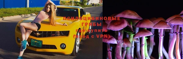 Альфа ПВП Михайлов