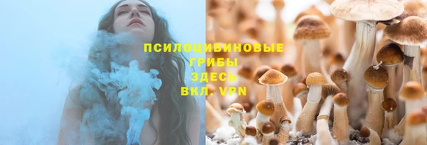 Альфа ПВП Михайлов