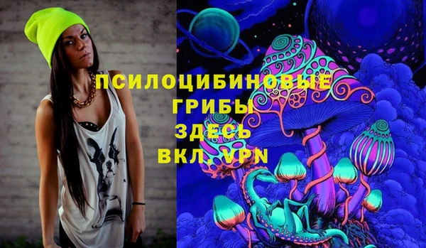 стафф Надым
