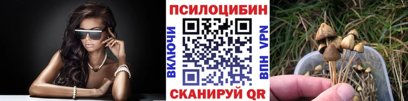 площадка состав  что такое наркотик  Петровск-Забайкальский  Псилоцибиновые грибы прущие грибы 